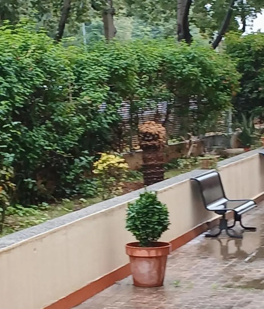 Larru Los Bermejales Residencia Universitaria Σεβίλλη 0*,  Ισπανία